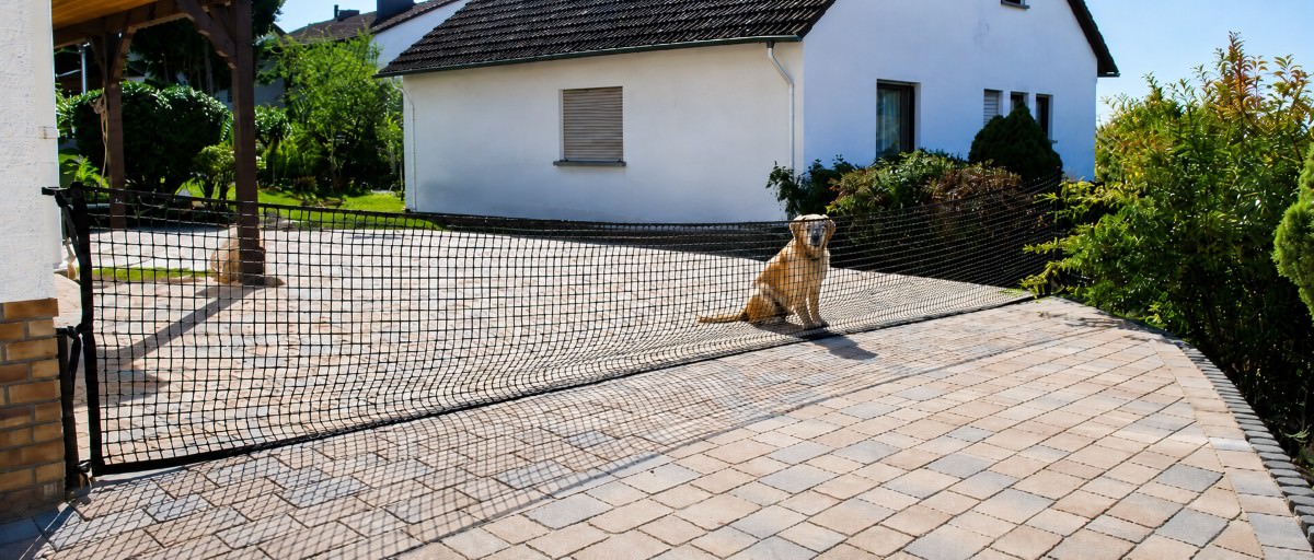 Barrier Nets
