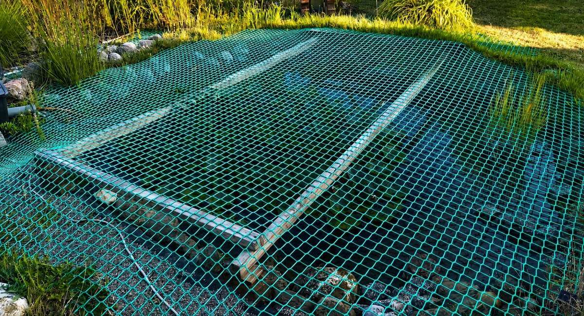 Pond Net for Safety