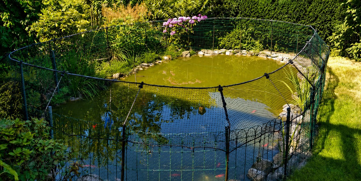 Bird Netting