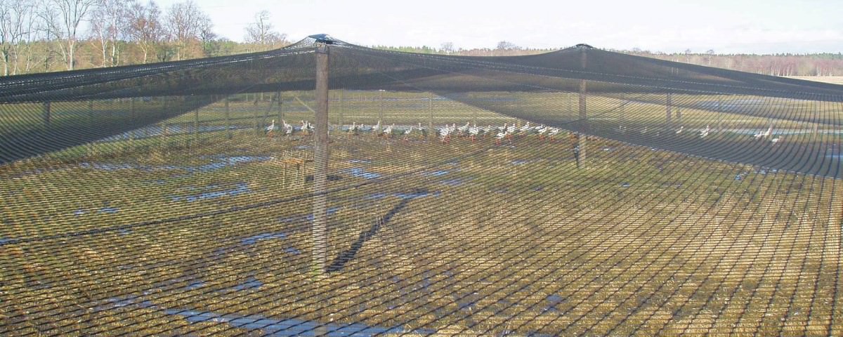 Aviary Netting