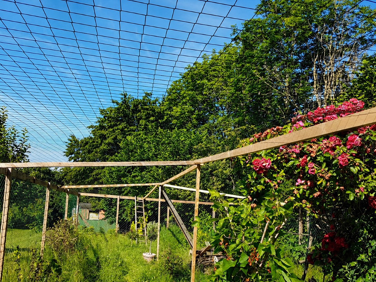 Aviary Netting